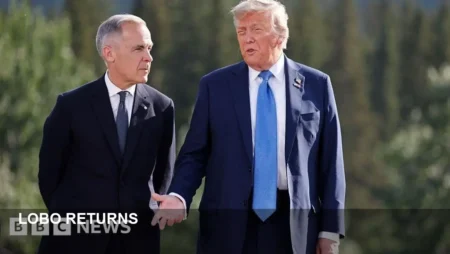 Lobo Revival Reignites Casting Buzz — Fans Eye Momoa