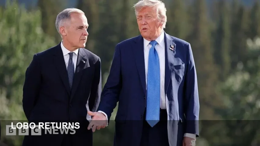 Lobo Revival Reignites Casting Buzz — Fans Eye Momoa