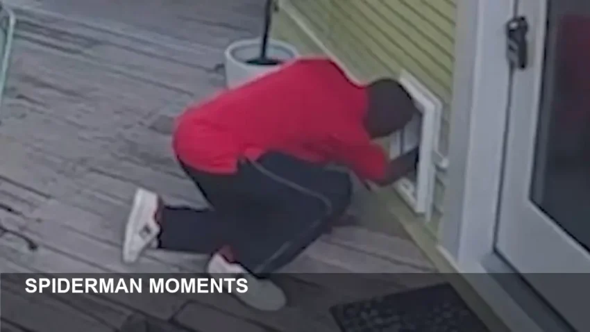 Spiderman Celebrations and the ‘Spiderman from Hell’ Arrest